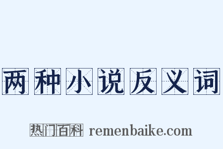 两种小说反义词是什么意思的图片